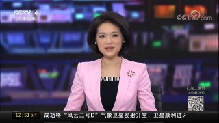 [中国新闻]马来西亚：大熊猫“暖暖”启程返回中国 | CCTV-4