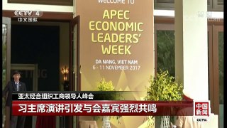 [中国新闻]亚太经合组织工商领导人峰会 习主席演讲引发与会嘉宾强烈共鸣 | CCTV-4