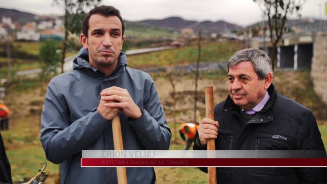 Pemë të tjera i shtohen Tiranës - News, Lajme - Vizion Plus