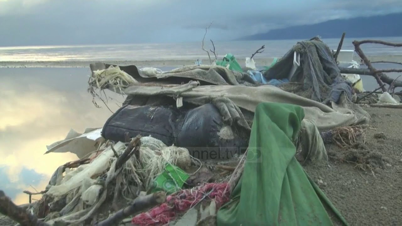 Mjelmat mes plehrave - Top Channel Albania - News - Lajme