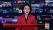 [中国新闻]葡萄牙森林大火死亡人数升至41人 | CCTV-4