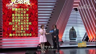 [2017汉语桥]“汉语桥”2017全球外国人汉语大会优秀组织奖 | CCTV-4