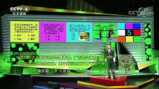 [2017汉语桥]驷马闯关 | CCTV-4