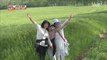 [Power Magazine]GoChang Green Barley Festival 힐링 여행  은 고창 '청보리밭 축제'20180511