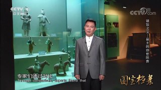 《国宝档案》 20170902 镇馆之宝——县主的绝世陪葬 | CCTV-4