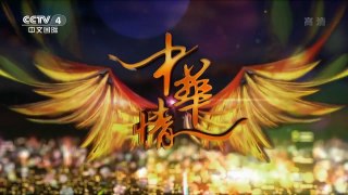 《中华情》 20170815 永远的邓丽君 | CCTV-4