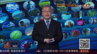 《中国舆论场》 20170813 中国海军演兵黄渤海 实射导弹数十枚 | CCTV-4