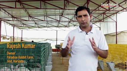 Rabbit farming a new growing business