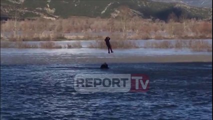 Скачать видео: Report TV - Pamje ekskluzive nga momenti i shpërthimit të dy objekteve në qytetin e Fierit