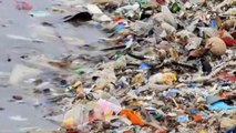 Rreziku nga plastika, po dëmton jetën detare - Top Channel Albania - News - Lajme