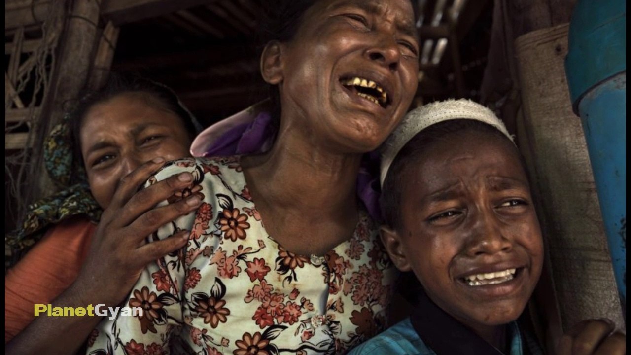 Bangladesh Understood The Pain of Rohingya Muslim - Came Forward For Help