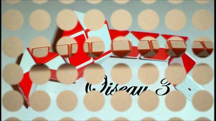 Oiseau (modèle 3) (magic cube puzzle)