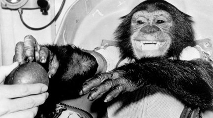 Uzaya giden ilk şempanze: Ham