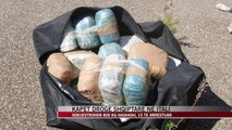 Kapet drogë shqiptare në Itali - News, Lajme - Vizion Plus