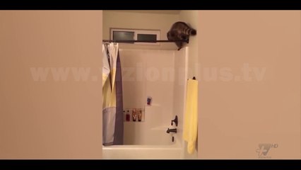 Next - Crazy - 7 Shkurt 2018 - Show - Vizion Plus