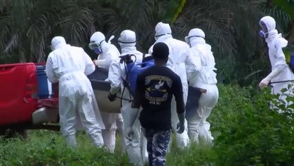 Ebola Kongo'da can aldı