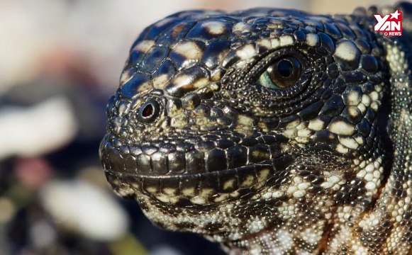 Đoạn clip hút triệu lượt xem giúp thay đổi cuộc đời cho những ai đang chìm trong tuyệt vọng