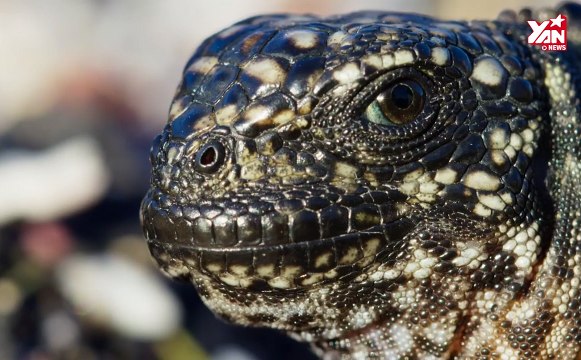 Đoạn clip hút triệu lượt xem giúp thay đổi cuộc đời cho những ai đang chìm trong tuyệt vọng