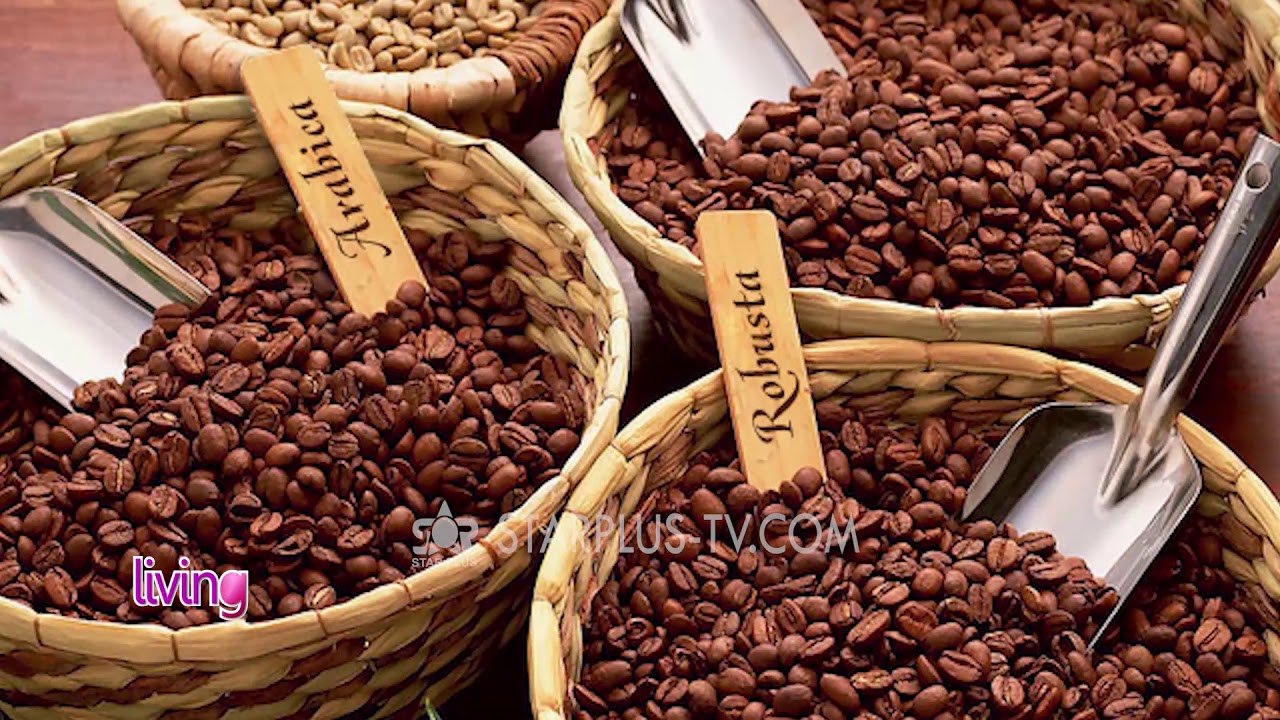 LIVING - MEDUSA CAFFE