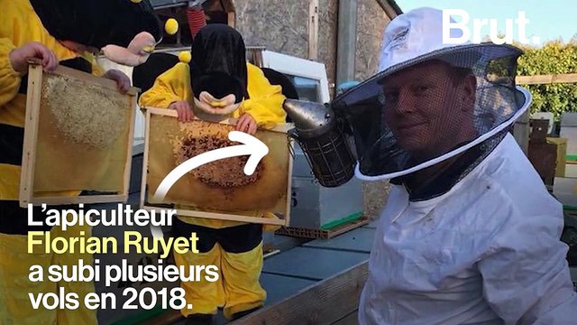 Des apiculteurs sans abeilles sont même prêts à aller voler leurs voisins … En France, les vols de ruches augmentent