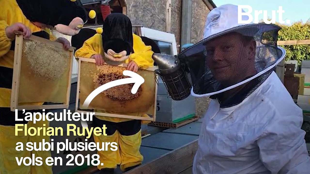 "Des apiculteurs sans abeilles sont même prêts à aller voler leurs voisins"… En France, les vols de ruches augmentent