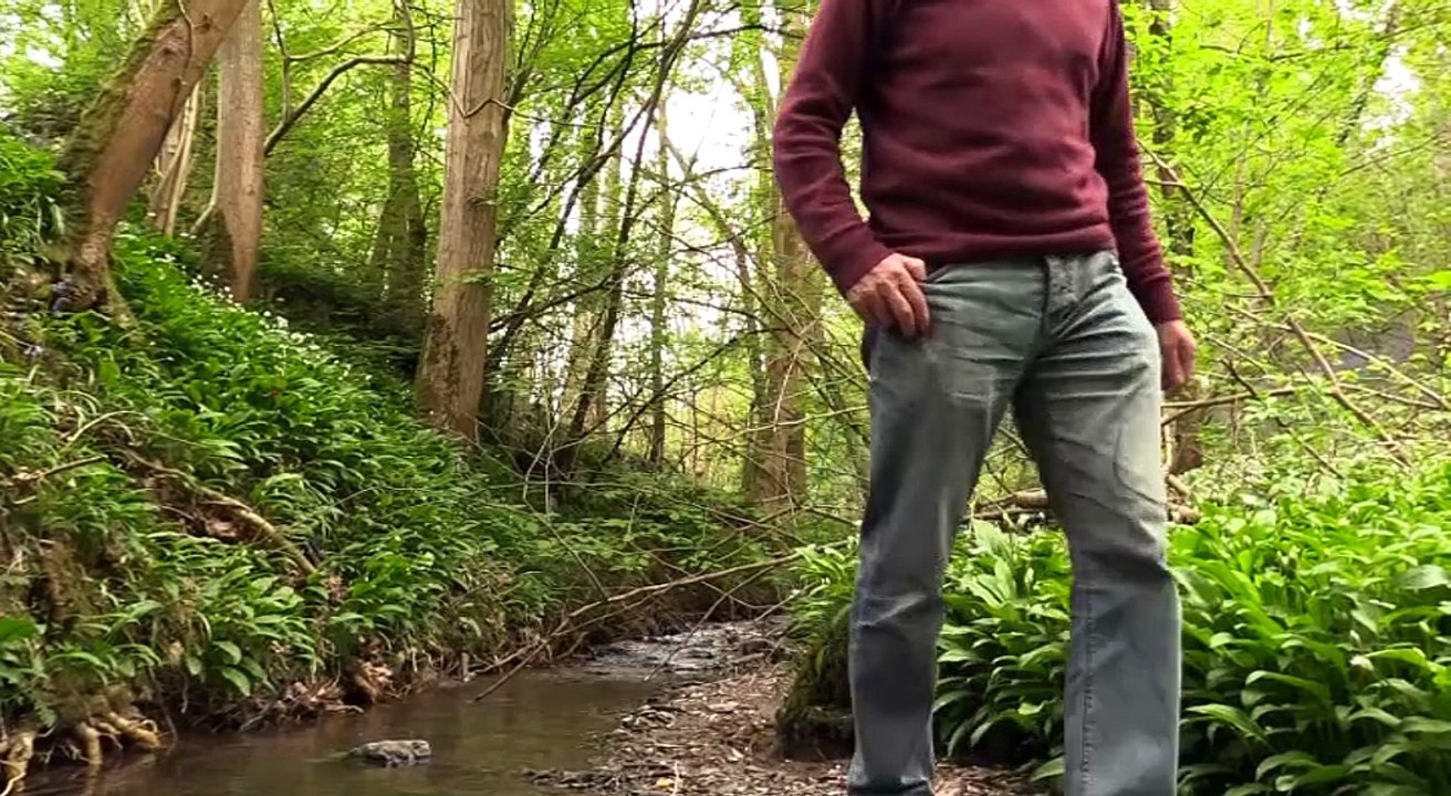 Ruthin Log Dams Could Save Businesses, Farms and Houses from Flooding
