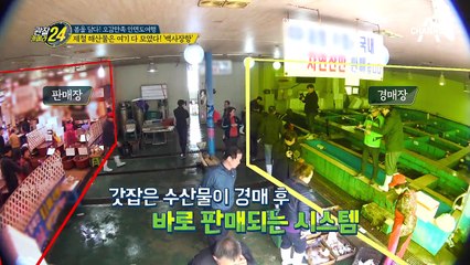 제철 꽃게 만날 수 있는 곳 '백사장항' 신선한 주꾸미와 갑오징어까지~?