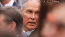 EPA Head Scott Pruitt Dined With Cardinal Accused Of Sexual Abuse: Report
