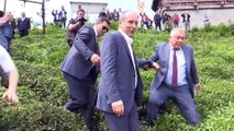 CHP'nin Cumhurbaşkanı adayı İnce çay topladı - RİZE