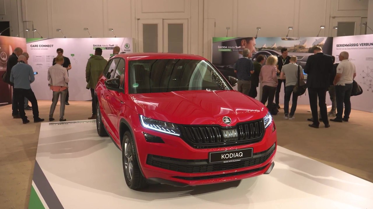 Skoda bietet Online Dienste für fast alle Skoda Modelle serienmäßig