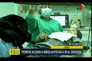 Chile: perros ayudan a niños autistas a ir al dentista