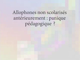 Allophones non scolarisés antérieurement : panique pédagogique ?