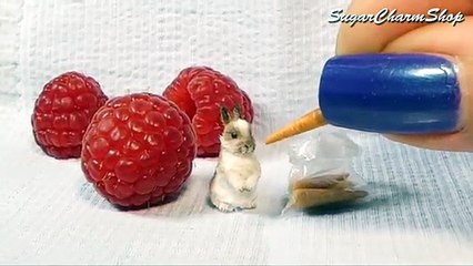 Miniature Baby Bunny Tutorial // DIY Dwarf Rabbit