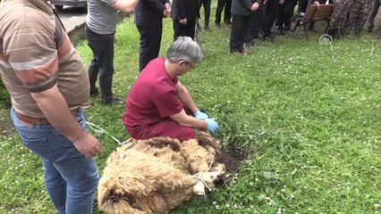 Afrin'de Görev Yapan Pöh'ler Geri Döndü