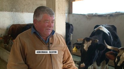 Blegtorët duan ndihmë - Top Channel Albania - News - Lajme