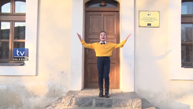 Vjershë kushtuar Ditës së Pavarësisë së Kosovës nga vogëlushja, Sara Gavazaj