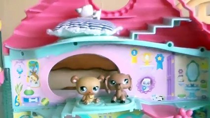 Little PetShop Jenny La Voisine Infernale [littlest petshop]