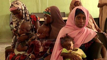 Raporti tronditës i UNICEF: 5 foshnja vdesin në çdo minutë - Top Channel Albania - News - Lajme