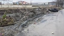 Durrës, ankesë për ndotjen - Top Channel Albania - News - Lajme