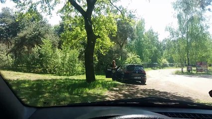 Family Approaches Cheetahs