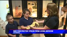 Beloved 7-Foot Boa Constrictor Stolen from California Animal Museum