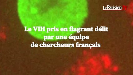 La transmission du VIH filmée pour la première fois