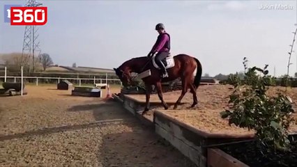 “Kur kali tregon se kush është shefi” (360video)