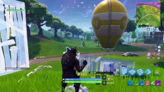 Fortnite Pawned