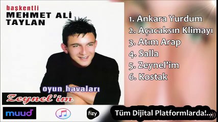 Başkentli Mehmet Ali Taylan - Atım Arap