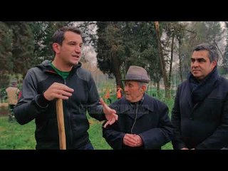 Edhe Shtëpia e të Moshuarve përfshihet në mbjelljen e pemëve- Top Channel Albania - News - Lajme