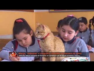 Macja, “nxënëse” e rregullt e shkollës së mesme në Izmir