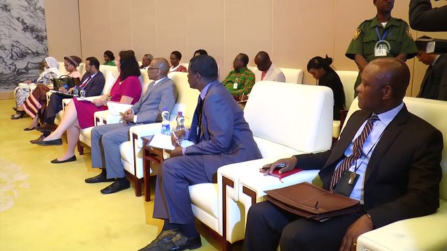 Li Zhanshu, Etiyopya'da - ADDİS ABABA