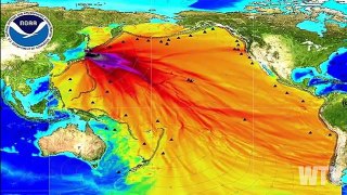 What you need to know about FUKUSHIMA and NUCLEAR FALLOUT
