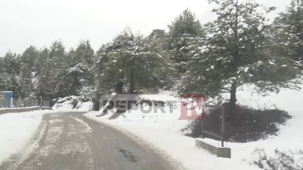 Report TV - Reshje dëbore edhe në qarkun e Elbasanit